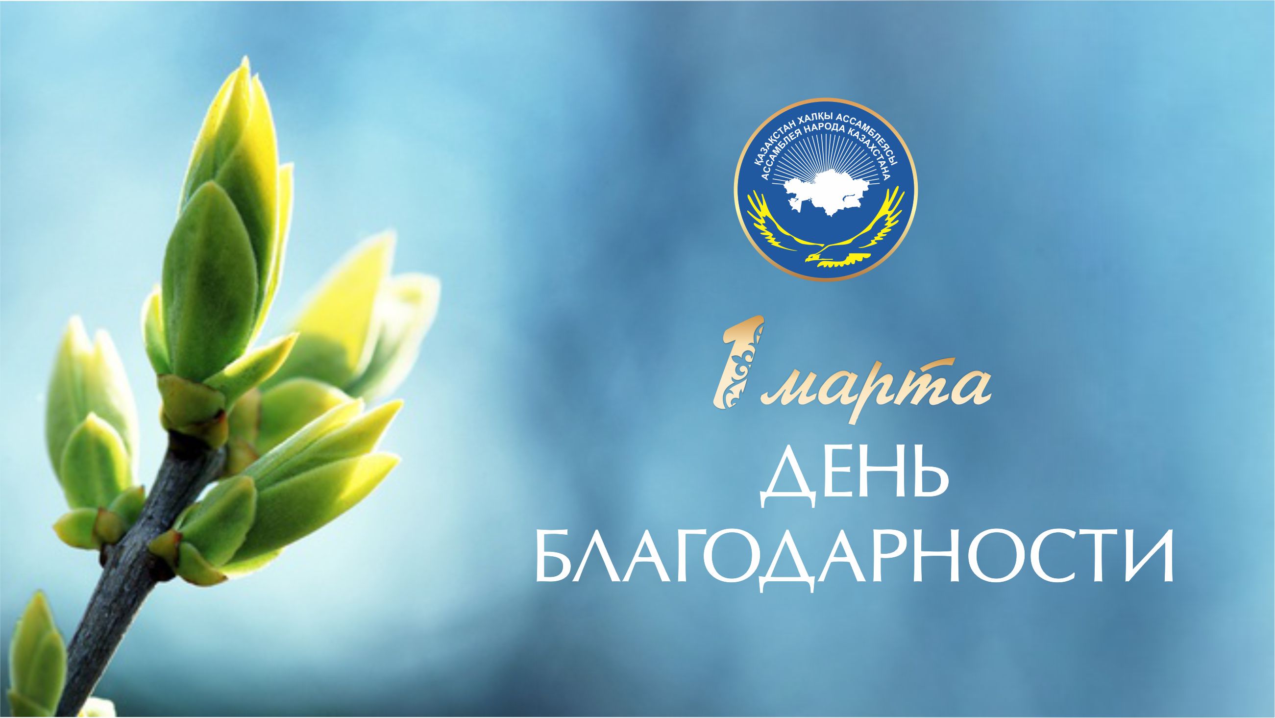 Казахстанцы отмечают День благодарности